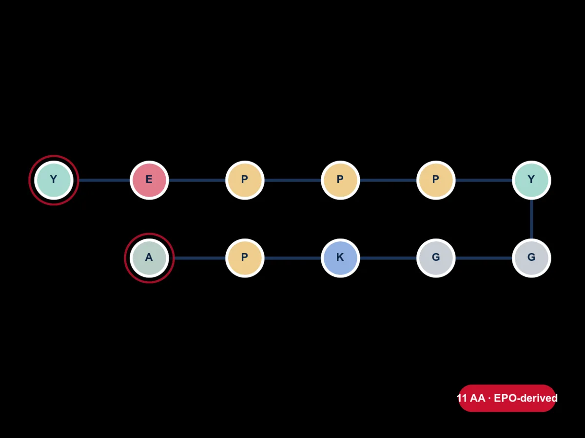 ARA-290 (Cibinetide) molecule diagram card