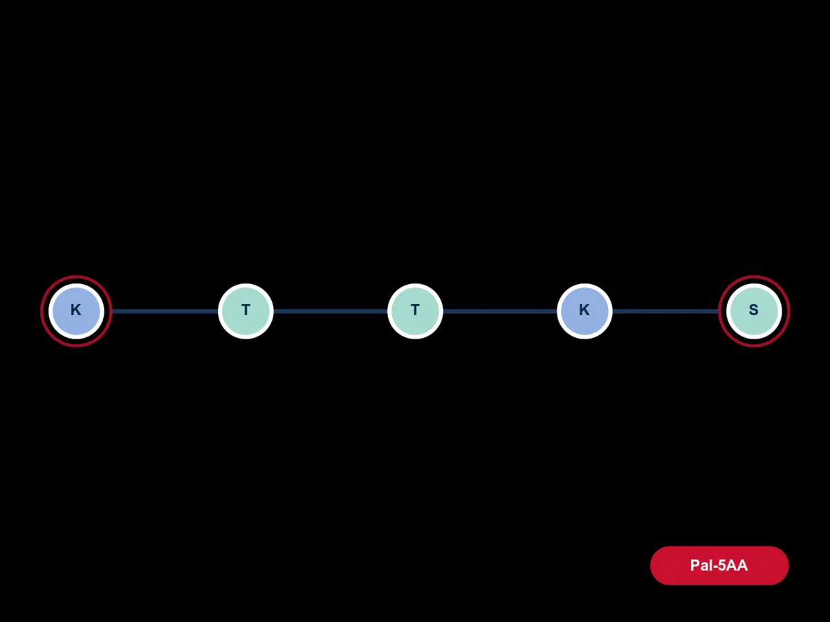 Matrixyl (Palmitoyl Pentapeptide-4) molecule diagram card